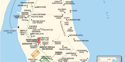 Χάρτης της πόλης placencia village Μπελίζ